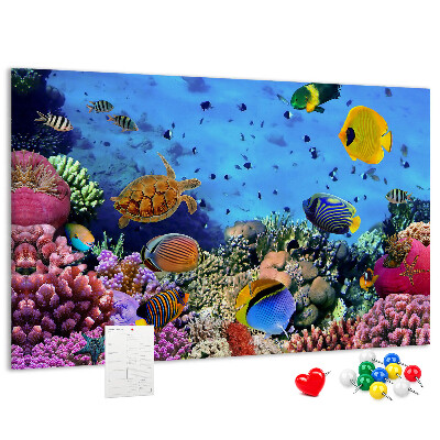 Pizarra de corcho con diseño de mundo tropical, colores submarinos y peces