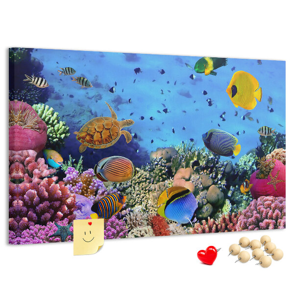 Pizarra de corcho con diseño de mundo tropical, colores submarinos y peces