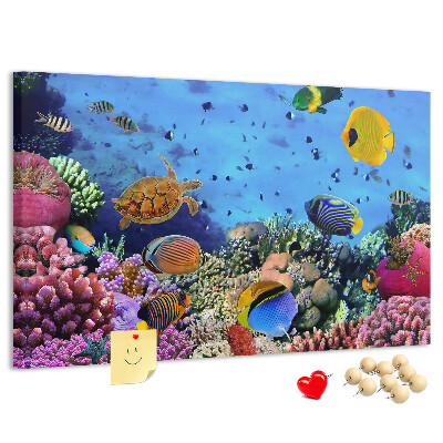Pizarra de corcho con diseño de mundo tropical, colores submarinos y peces