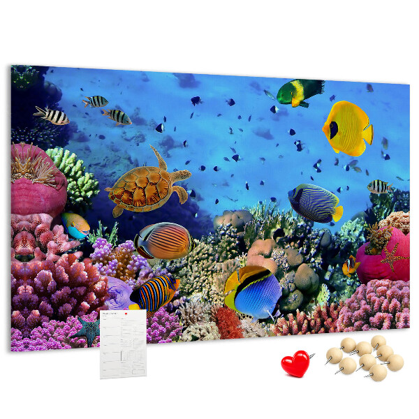 Pizarra de corcho con diseño de mundo tropical, colores submarinos y peces