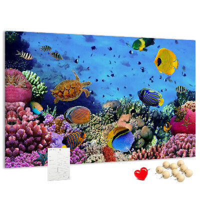 Pizarra de corcho con diseño de mundo tropical, colores submarinos y peces