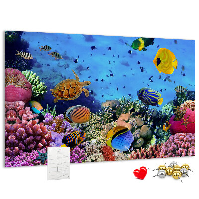 Pizarra de corcho con diseño de mundo tropical, colores submarinos y peces