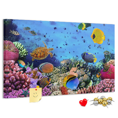 Pizarra de corcho con diseño de mundo tropical, colores submarinos y peces