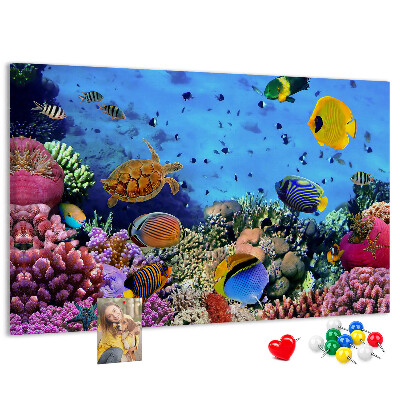 Pizarra de corcho con diseño de mundo tropical, colores submarinos y peces