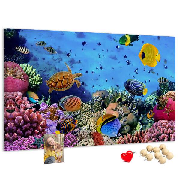 Pizarra de corcho con diseño de mundo tropical, colores submarinos y peces