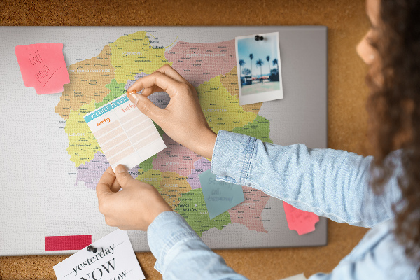 Tablero de corcho decorativo mapa de Polonia con división administrativa
