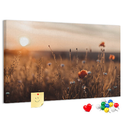Tablero de corcho decorado Campo dorado de amapolas al atardecer