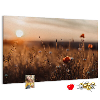 Tablero de corcho decorado Campo dorado de amapolas al atardecer