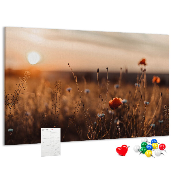 Tablero de corcho decorado Campo dorado de amapolas al atardecer