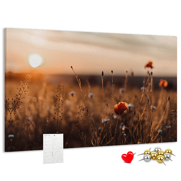 Tablero de corcho decorado Campo dorado de amapolas al atardecer