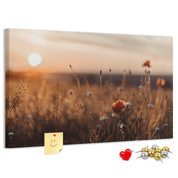 Tablero de corcho decorado Campo dorado de amapolas al atardecer