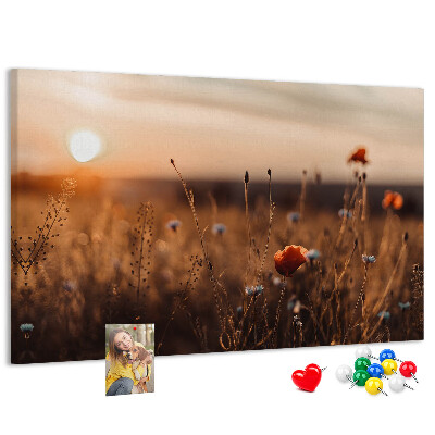 Tablero de corcho decorado Campo dorado de amapolas al atardecer