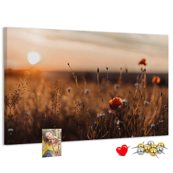 Tablero de corcho decorado Campo dorado de amapolas al atardecer