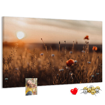 Tablero de corcho decorado Campo dorado de amapolas al atardecer