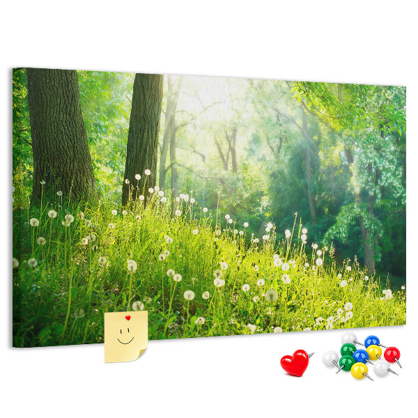 Tablero de anuncios Bosque verde con dientes de león en flor