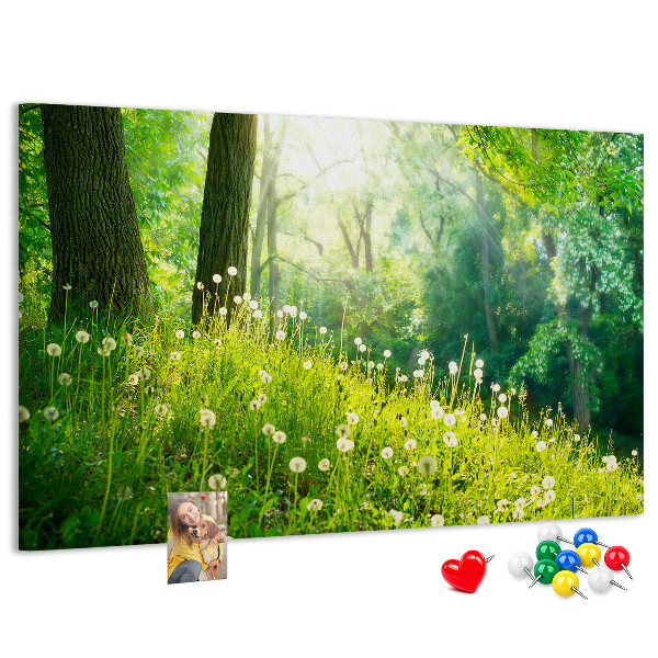 Tablero de anuncios Bosque verde con dientes de león en flor