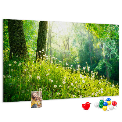 Tablero de anuncios Bosque verde con dientes de león en flor