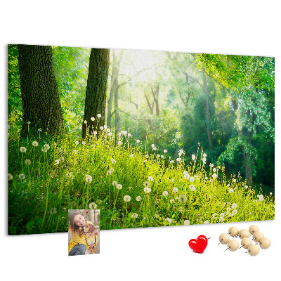 Tablero de anuncios Bosque verde con dientes de león en flor