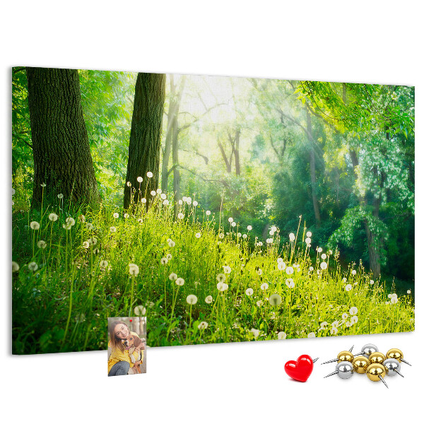 Tablero de anuncios Bosque verde con dientes de león en flor