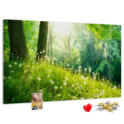 Tablero de anuncios Bosque verde con dientes de león en flor