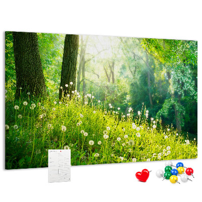 Tablero de anuncios Bosque verde con dientes de león en flor