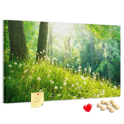 Tablero de anuncios Bosque verde con dientes de león en flor