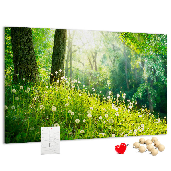 Tablero de anuncios Bosque verde con dientes de león en flor