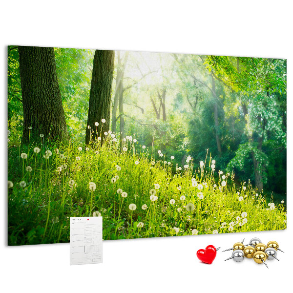 Tablero de anuncios Bosque verde con dientes de león en flor