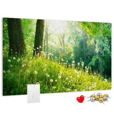 Tablero de anuncios Bosque verde con dientes de león en flor
