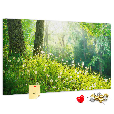 Tablero de anuncios Bosque verde con dientes de león en flor