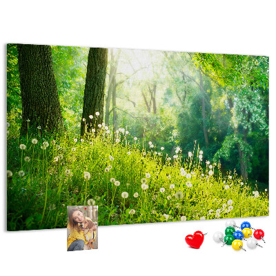 Tablero de anuncios Bosque verde con dientes de león en flor