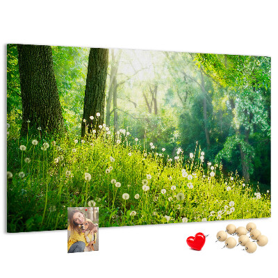 Tablero de anuncios Bosque verde con dientes de león en flor