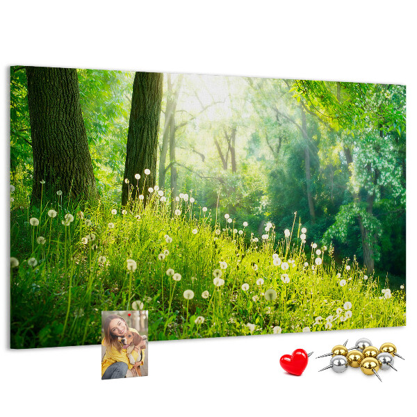 Tablero de anuncios Bosque verde con dientes de león en flor
