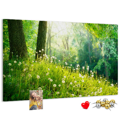 Tablero de anuncios Bosque verde con dientes de león en flor