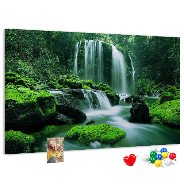 Pizarra de corcho Una cascada verde en una selva exuberante.