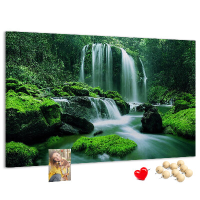 Pizarra de corcho Una cascada verde en una selva exuberante.