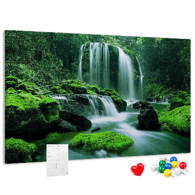Pizarra de corcho Una cascada verde en una selva exuberante.