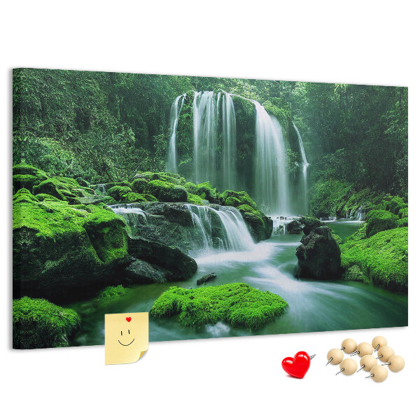 Pizarra de corcho Una cascada verde en una selva exuberante.
