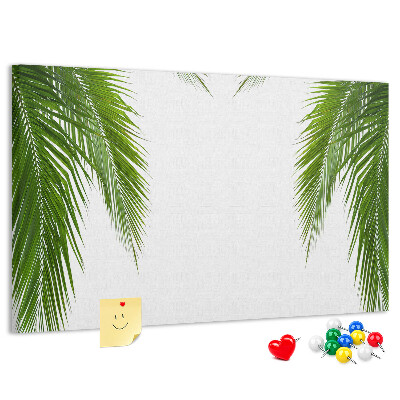 Pizarra de corcho Hojas de palmera sobre fondo blanco