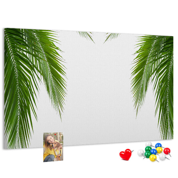Pizarra de corcho con diseño de hojas de palmera sobre fondo blanco