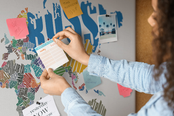 Tablero de corcho decorativo mapa del mundo con nombres de países