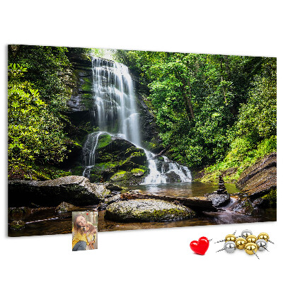 Pizarra de corcho Cascada en un bosque de montaña verde