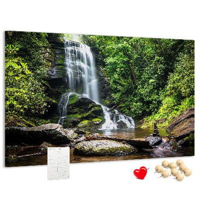 Pizarra de corcho Cascada en un bosque de montaña verde