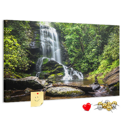 Pizarra de corcho Cascada en un bosque de montaña verde