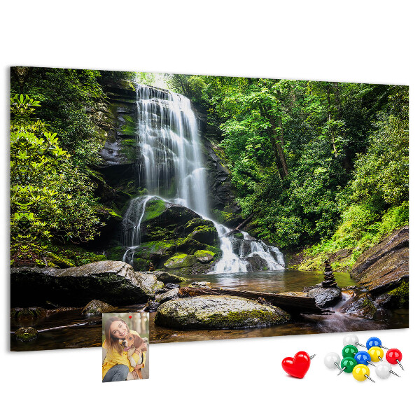 Pizarra de corcho Cascada en un bosque de montaña verde