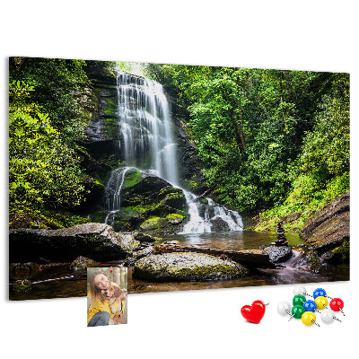 Pizarra de corcho Cascada en un bosque de montaña verde