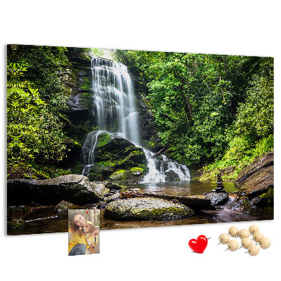 Pizarra de corcho Cascada en un bosque de montaña verde