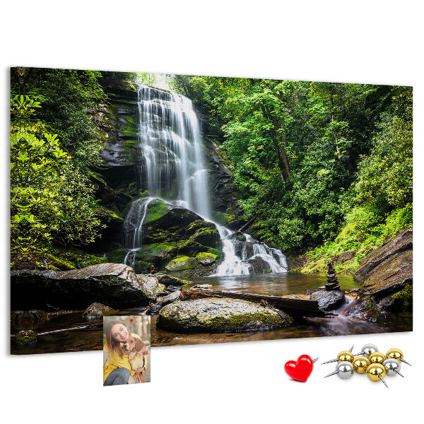 Pizarra de corcho Cascada en un bosque de montaña verde