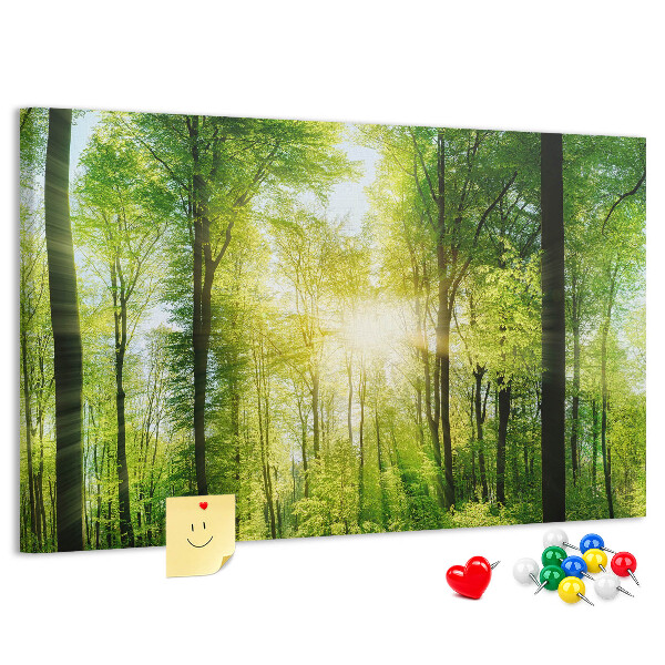 Tablero de corcho decorado Bosque verde con rayos de sol