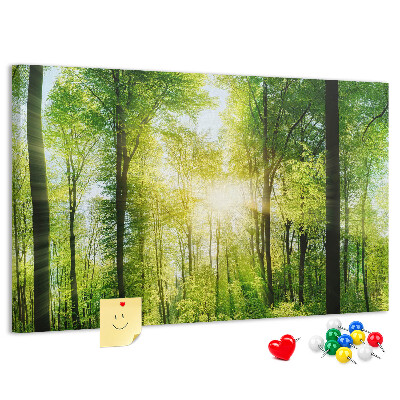 Tablero de corcho decorado Bosque verde con rayos de sol
